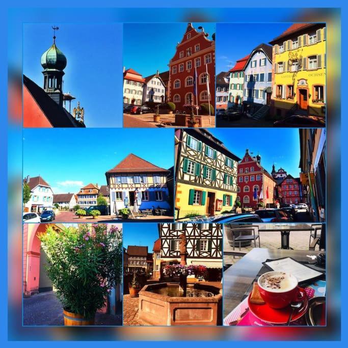 Fewo-Barbara, Ruhige Lage, 15 Min. Zum Europapark Ettenheim Exterior photo